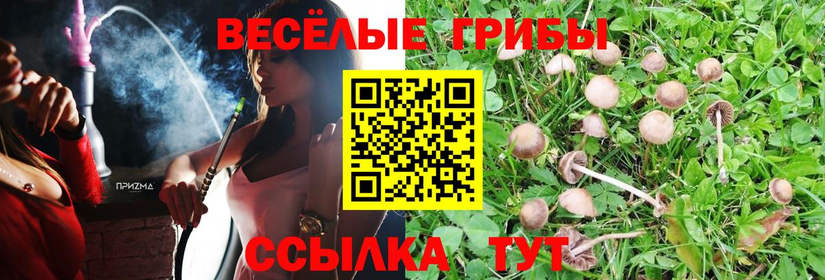 Галлюциногенные грибы Psilocybe  Вход с VPN  Галлюциногенные грибы мухоморы  Новый Уренгой 